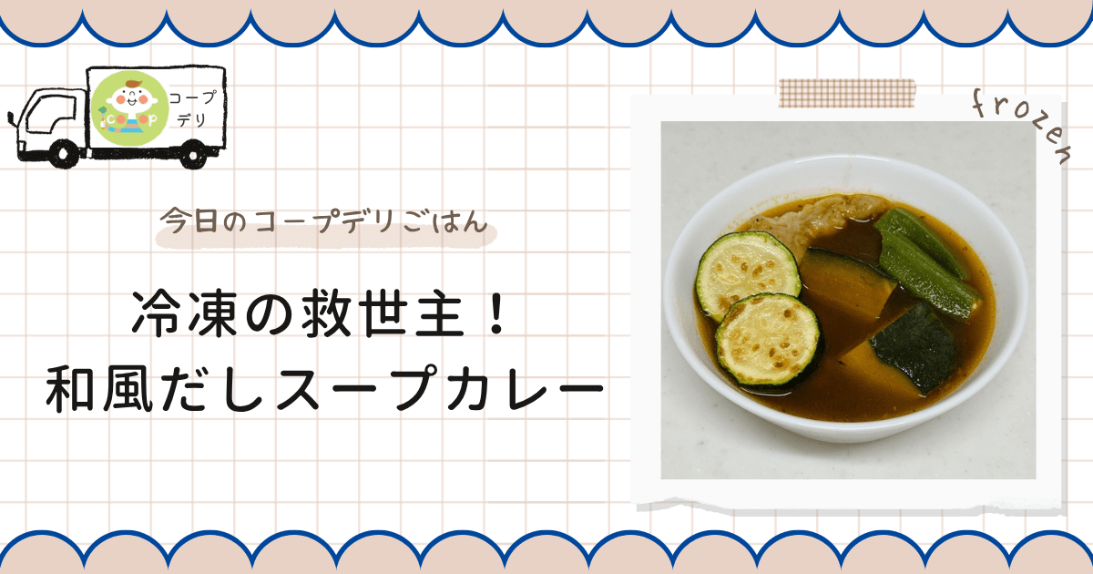 和風だし香る鶏もも肉のスープカレー