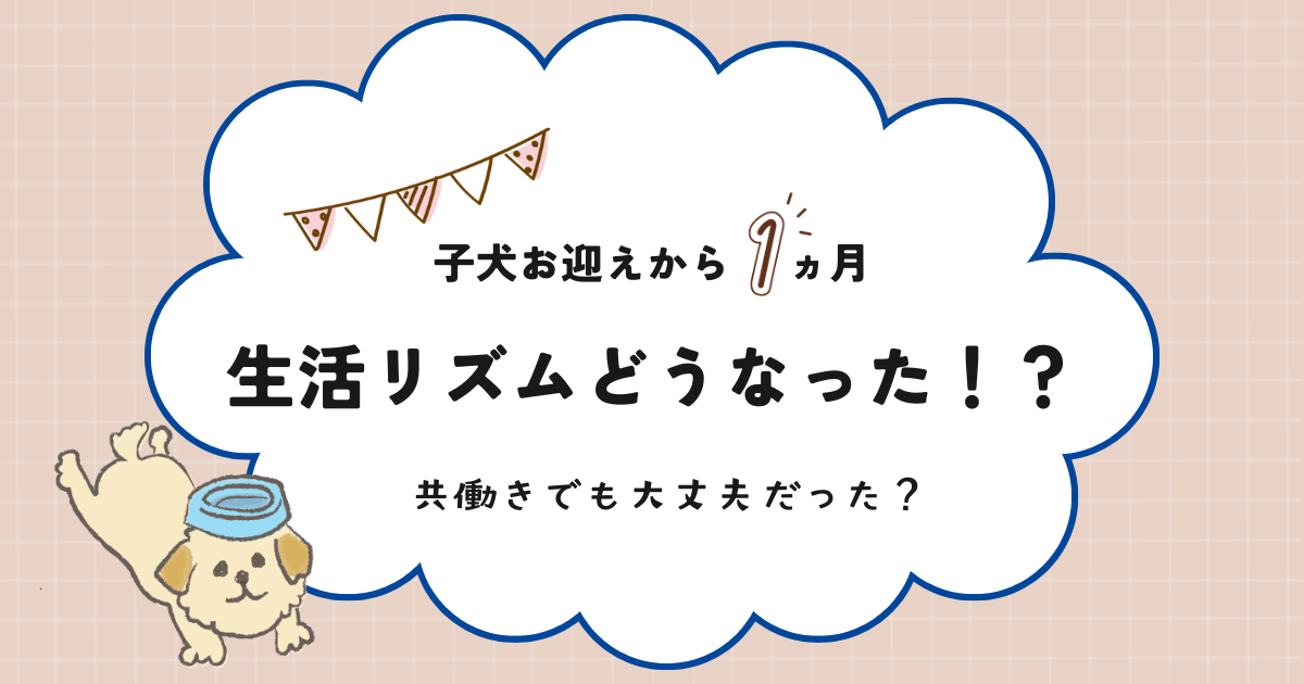 子犬お迎え１ヵ月どう？