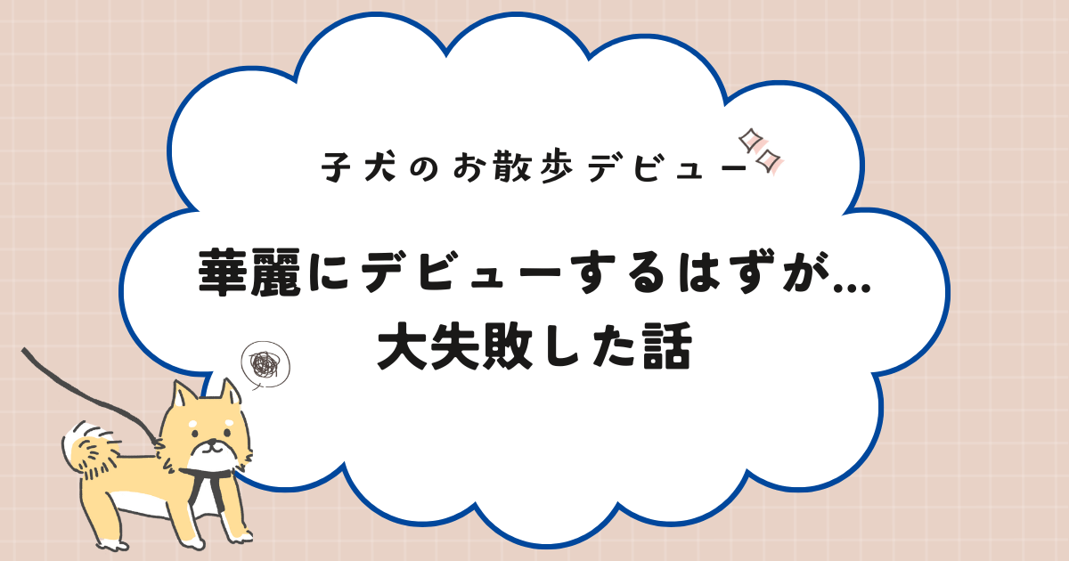 気合を入れてお散歩デビューを試みたものも失敗した話