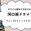 初めての犬を連れてのお出かけは河口湖へドライブ