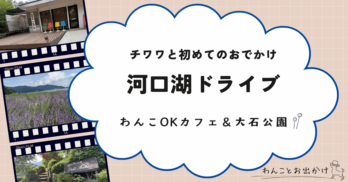 初めての犬を連れてのお出かけは河口湖へドライブ